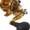 Avet SXJ G2 5.3 MC Single Speed Reel Gold 1 Avet SXJ G2 5.3 MC Single Speed Reel Gold -Pro Angler Shop avet sxj g2 5 3 mc single speed reel ave 0519 1 37087.1670342429.386.513
