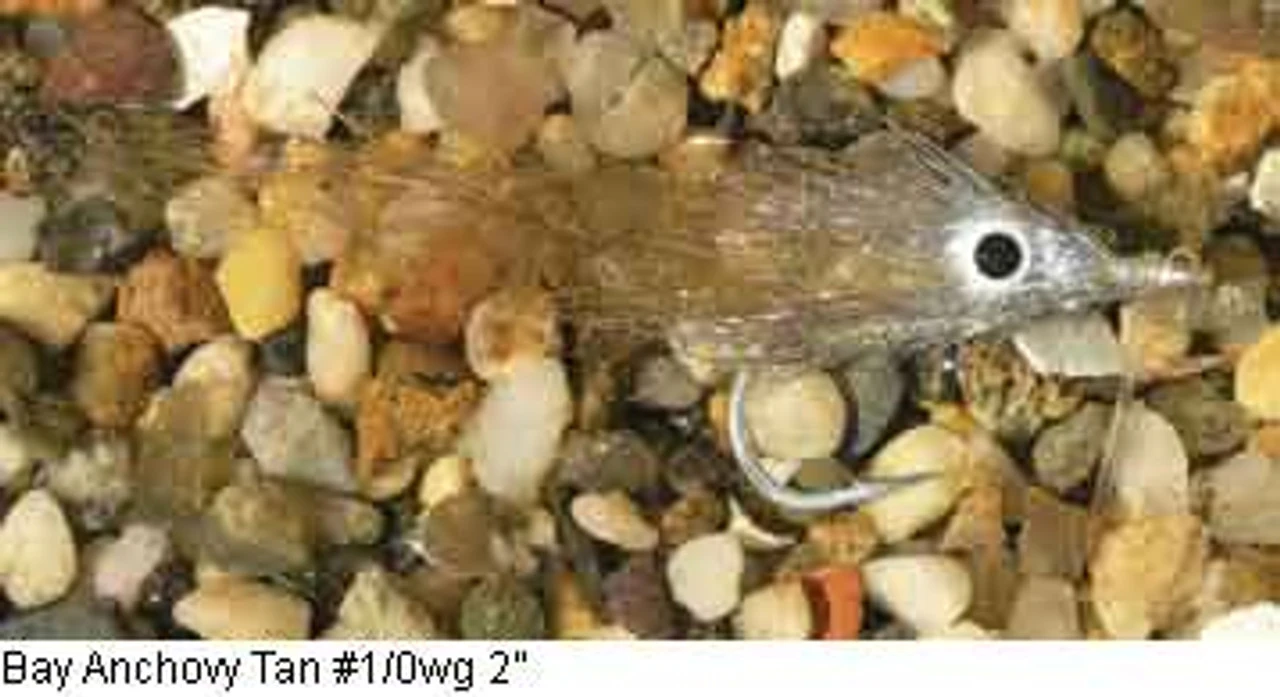 Enrico Puglisi Minnow Bay Anchovy Saltwater Fly 5 Enrico Puglisi Minnow Bay Anchovy Saltwater Fly - Image 3