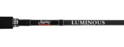 Jigging World Luminous Popping Rods -Pro Angler Shop jigging world luminous popping rods 74363.1680784546