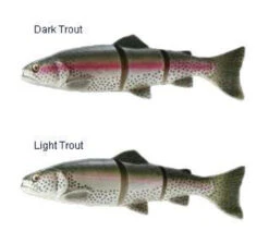 Savage Gear 3D Line Thru Trout -Pro Angler Shop savage gear 3d line thru trout lures 49443.1651163325