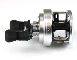 Shimano CT301D L/H Calcutta Reel 7 Shimano CT301D L/H Calcutta Reel -Pro Angler Shop shimano calcutta d ct301d 98642.1650937052