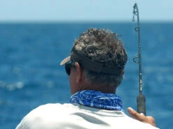 Shimano Terez Conventional Rods -Pro Angler Shop shimano terez conventional fishing rods 83511.1661538644